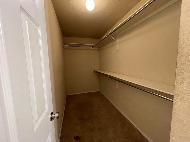 spacious closet with carpet floors