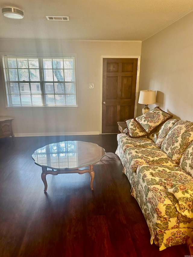 living room featuring hardwood / wood-style floors