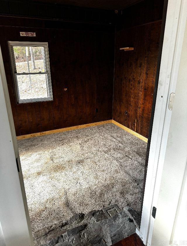 unfurnished room with wood walls and carpet floors