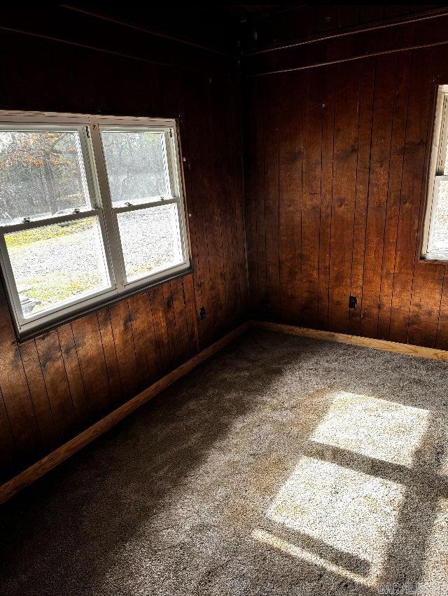 carpeted empty room featuring a wealth of natural light and wooden walls