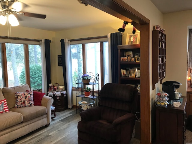 living room with plenty of natural light, ceiling fan, and light wood-type flooring