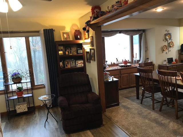 dining room featuring dark hardwood / wood-style floors