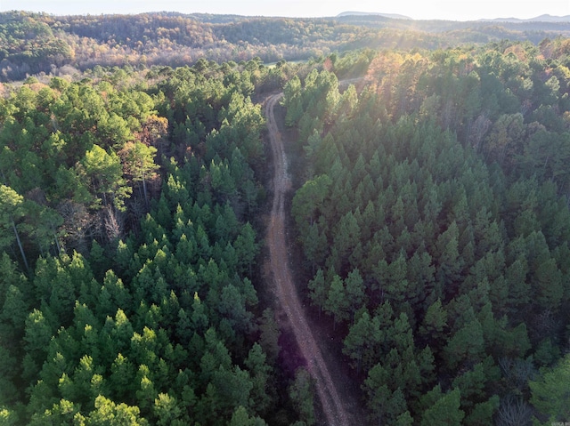 TBD Polk Rd Unit 617, Mena, AR 71953