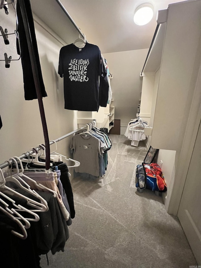 walk in closet with carpet