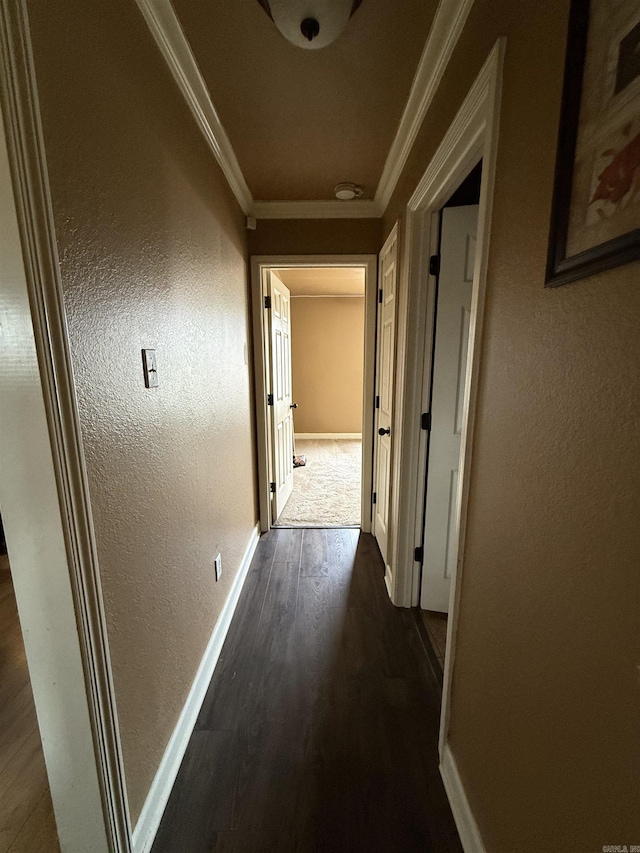 hallway with crown molding, baseboards, dark wood-type flooring, and a textured wall