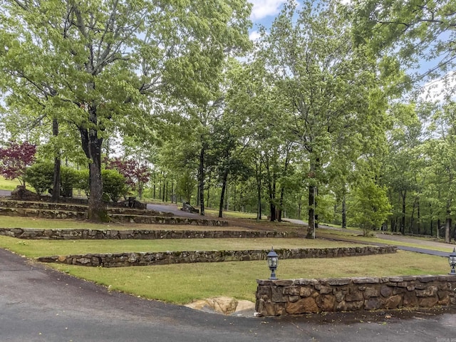 view of home's community featuring a lawn