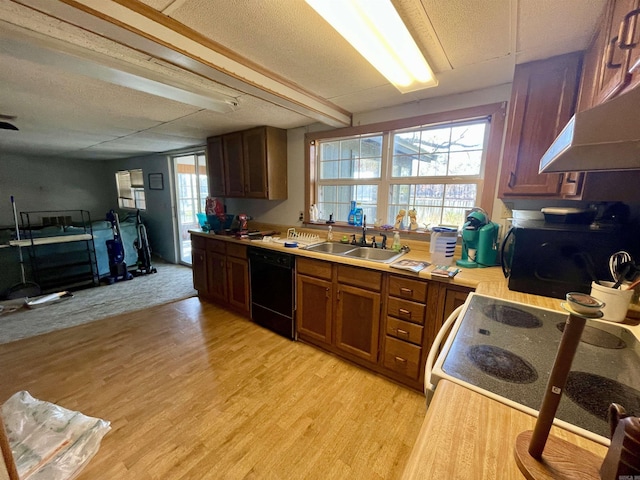 kitchen featuring sink, light hardwood / wood-style floors, and black appliances