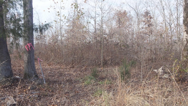 Listing photo 3 for TBD Highway 63 N, Hardy AR 72542