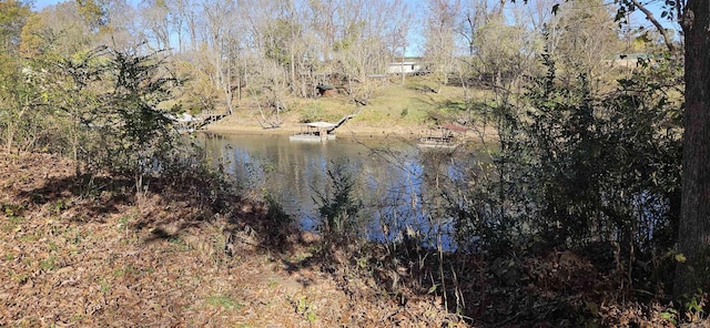 Address Not Disclosed, Heber Springs AR, 72543 land for sale