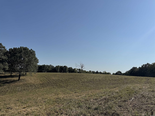 view of local wilderness featuring a rural view