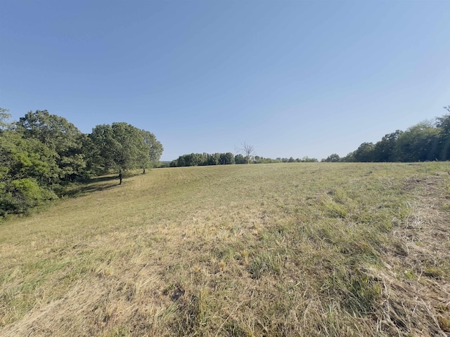 view of yard with a rural view