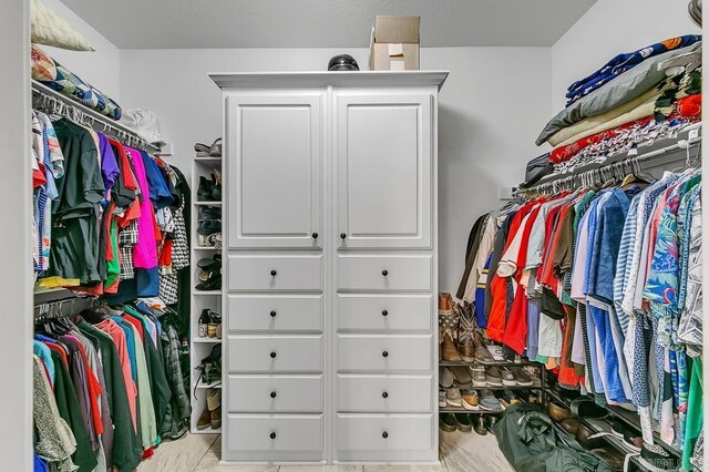 view of spacious closet