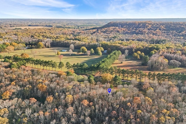 bird's eye view with a rural view