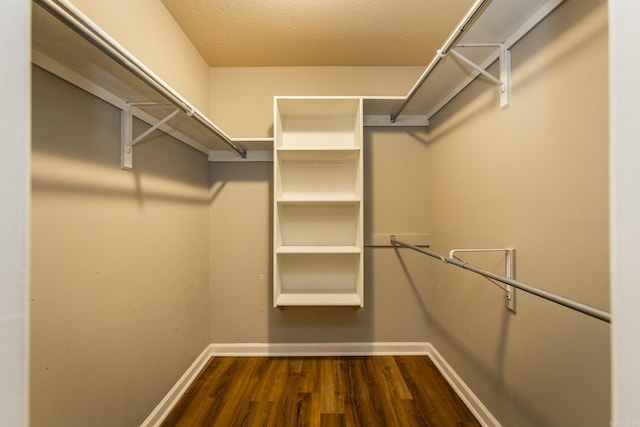 walk in closet with dark hardwood / wood-style floors