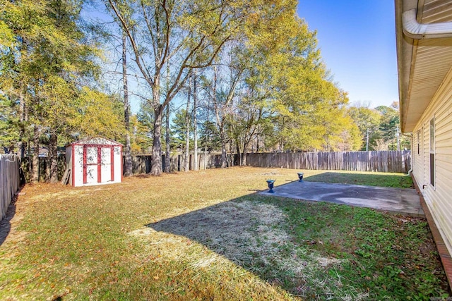 view of yard with a patio area and a shed