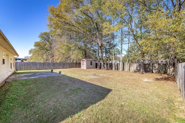 view of yard with a storage shed and a patio area