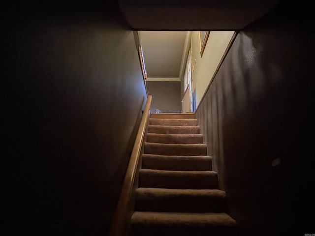 view of stairs
