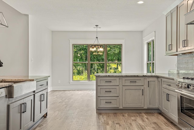 kitchen featuring a wealth of natural light, stainless steel appliances, and light hardwood / wood-style floors