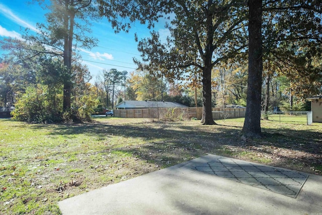 view of yard featuring a patio