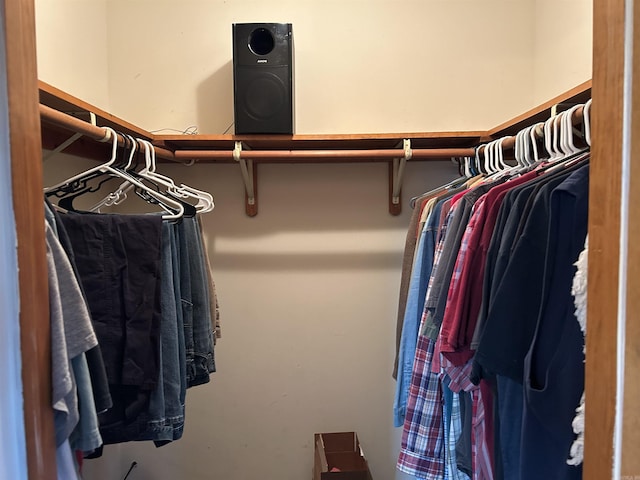 view of spacious closet