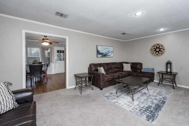 living room with carpet flooring and crown molding