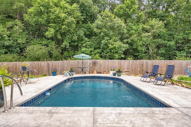 view of swimming pool featuring a patio