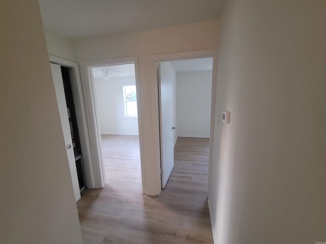 hallway featuring light hardwood / wood-style flooring