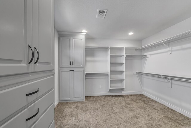 spacious closet with light carpet