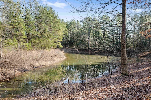 view of landscape featuring a water view and a forest view