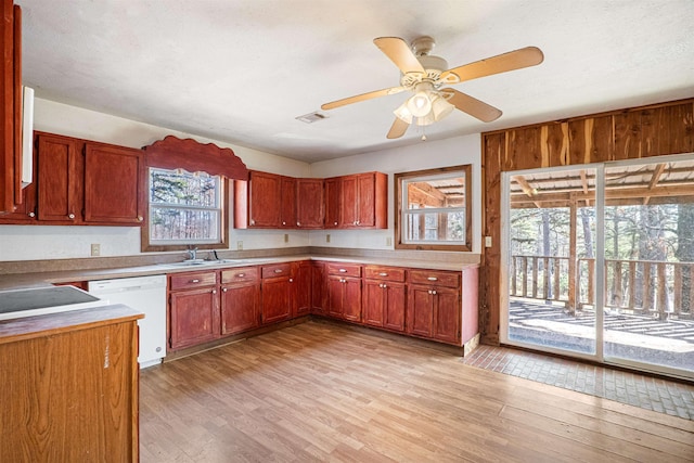 kitchen featuring visible vents, a ceiling fan, white dishwasher, a sink, and light wood-type flooring