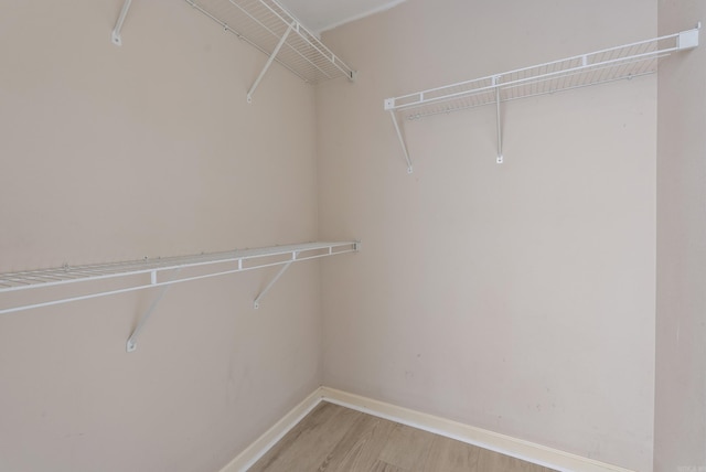 spacious closet with light wood-type flooring