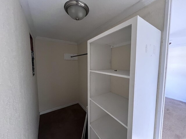 walk in closet with carpet flooring