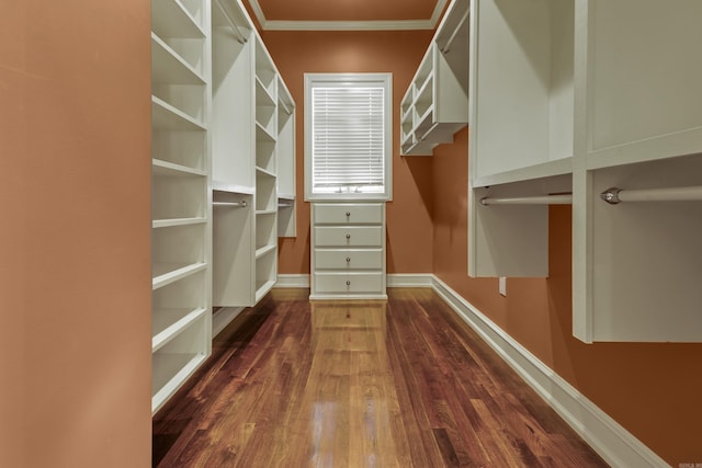 spacious closet featuring dark wood-type flooring