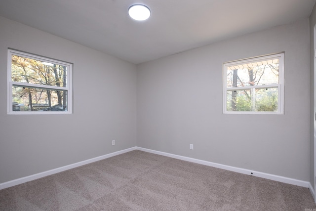 unfurnished room featuring carpet and a wealth of natural light