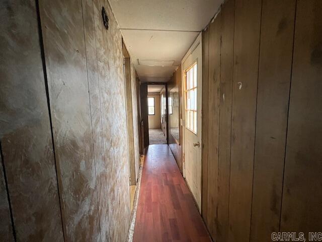 corridor featuring dark wood-type flooring and wood walls