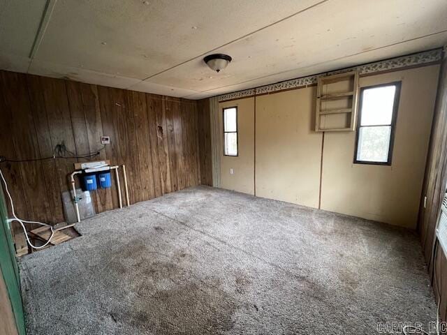 empty room featuring carpet flooring, wooden walls, and plenty of natural light