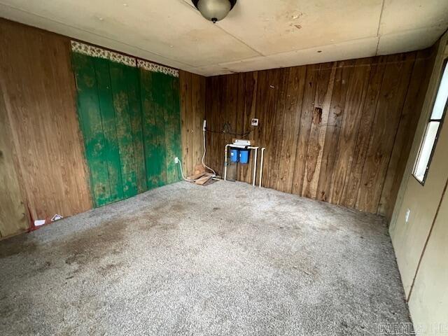 spare room with wood walls and carpet floors