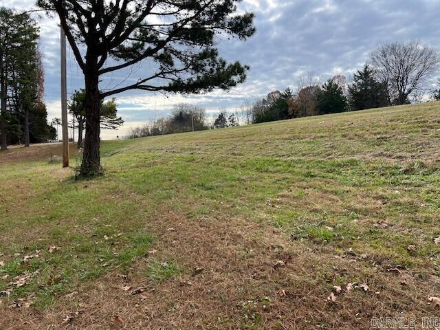 view of yard with a rural view