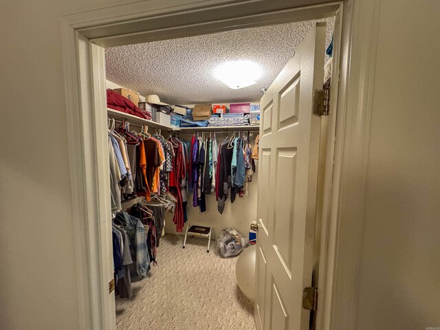 spacious closet with carpet floors