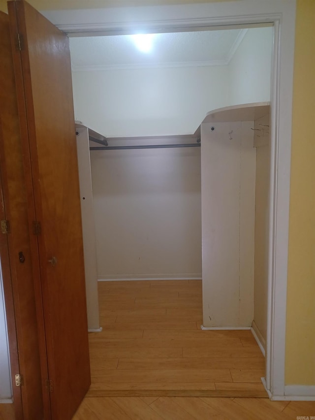 spacious closet with light hardwood / wood-style flooring