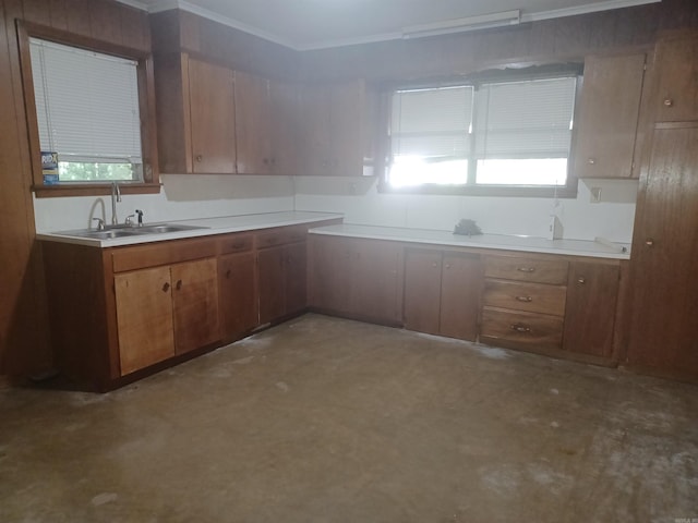 kitchen with ornamental molding and sink