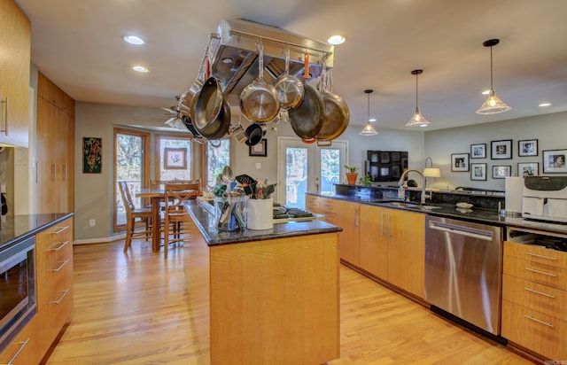 kitchen with a healthy amount of sunlight, stainless steel appliances, and light wood-type flooring