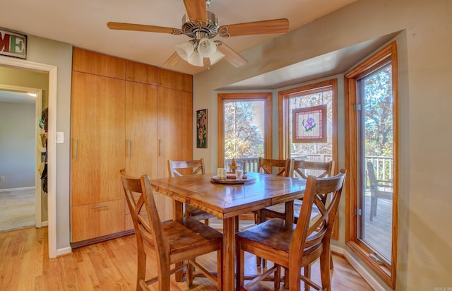 dining room featuring a wealth of natural light, ceiling fan, and light wood-type flooring