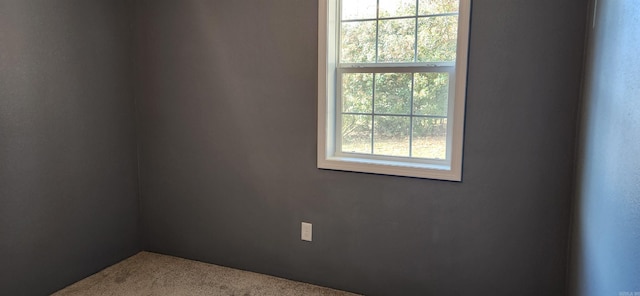 carpeted spare room with a healthy amount of sunlight