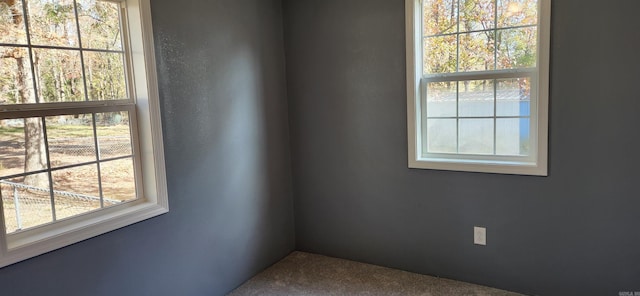 carpeted spare room featuring a healthy amount of sunlight