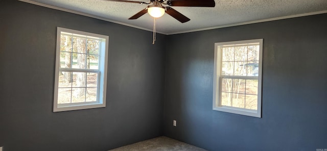 spare room featuring a healthy amount of sunlight, ornamental molding, and a textured ceiling