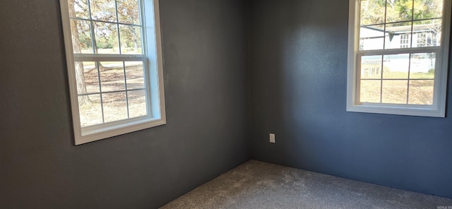 empty room with carpet flooring and a wealth of natural light