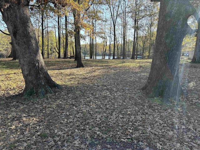 view of yard featuring a water view