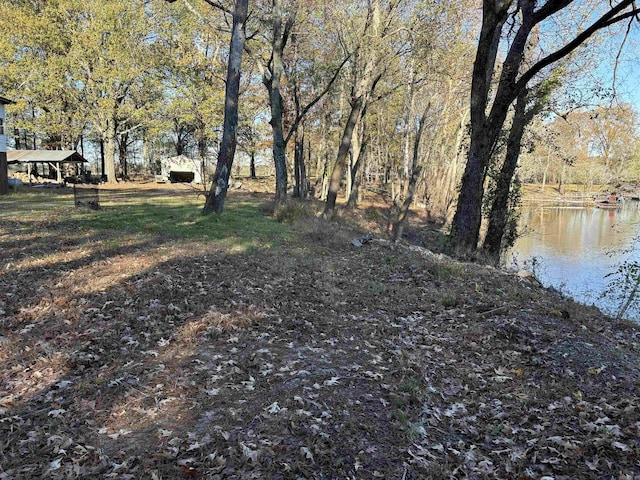 view of yard with a water view