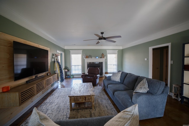 living room with ceiling fan, dark hardwood / wood-style flooring, and ornamental molding